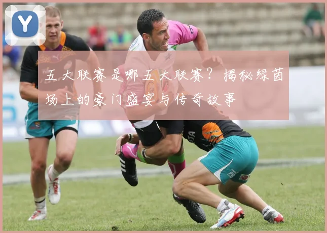 五大联赛是哪五大联赛？揭秘绿茵场上的豪门盛宴与传奇故事