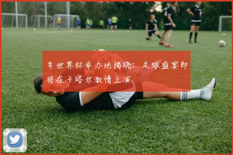 年世界杯举办地揭晓：足球盛宴即将在卡塔尔激情上演